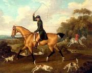 unknow artist Classical hunting fox, Equestrian and Beautiful Horses, 216. oil painting on canvas